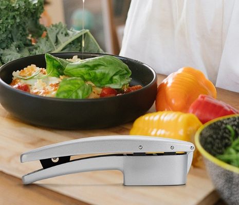 Kostenlose Probe 2 in 1 Manuelle Knoblauchpresse Minzer Küche Knoblauchschneider Schneider Tragbare Knoblauchschleifmaschine Maschine Gemüsewerkzeuge