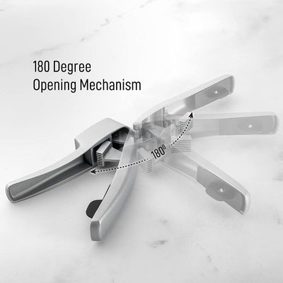 2 in 1 Ginger Chopper Aluminiumlegierung Knoblauchpresse und Knoblauchschneider mit benutzerdefiniertem Logo