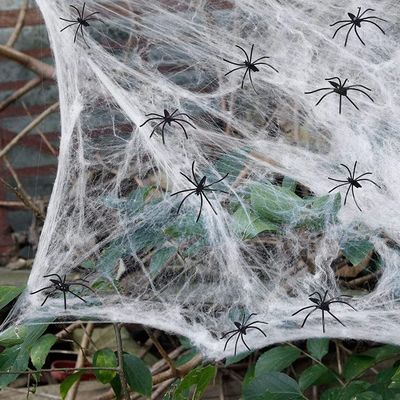 Anpassbare Streck-Halloween-Spinnenweb-Szene-Requisiten für Spukhaus