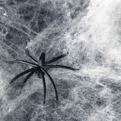 Anpassbare Streck-Halloween-Spinnenweb-Szene-Requisiten für Spukhaus