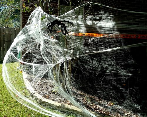Anpassbare Streck-Halloween-Spinnenweb-Szene-Requisiten für Spukhaus