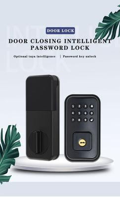 Sichern Sie Ihre Tür mit batteriebetriebenem digitalen Smart Lock und TTlock Tuya WiFi App
