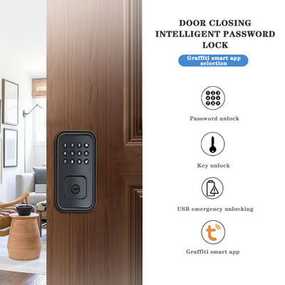 Sichern Sie Ihre Tür mit batteriebetriebenem digitalen Smart Lock und TTlock Tuya WiFi App