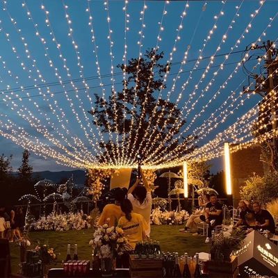 Außenwasserdicht 300m Lila LED Feenlichter String Girlande für Weihnachtsfeiertage Dekoration
